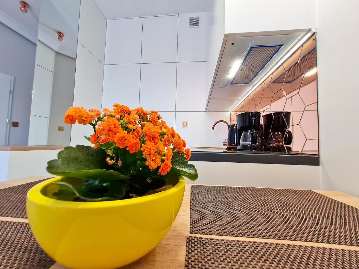 Visit Baltic - Platan Tower Victoria Apartment ชวีโนวิชแจ ภายนอก รูปภาพ